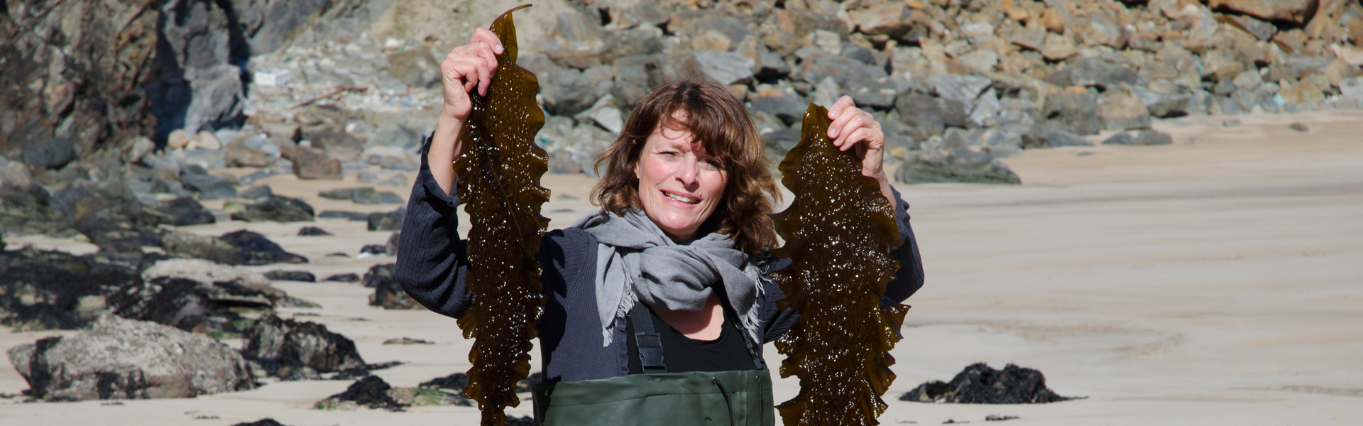 Meeresalgen Harvesting